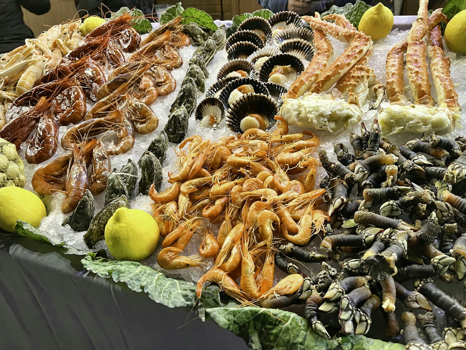 Pesce crudo su ghiaccio: scampi, gamberi e capesante.